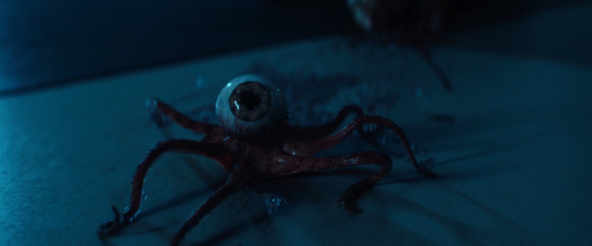 A single eyeball on what appear to be octopus legs regards the viewer.