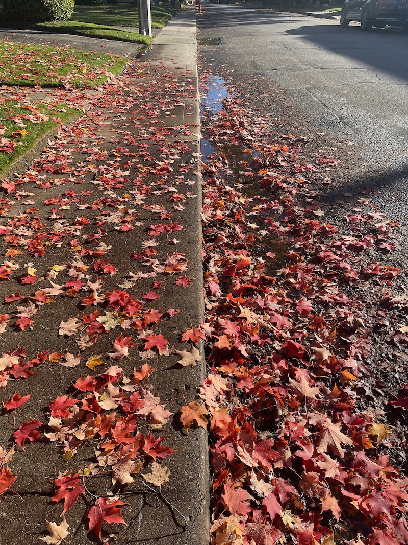 One of a thousand days